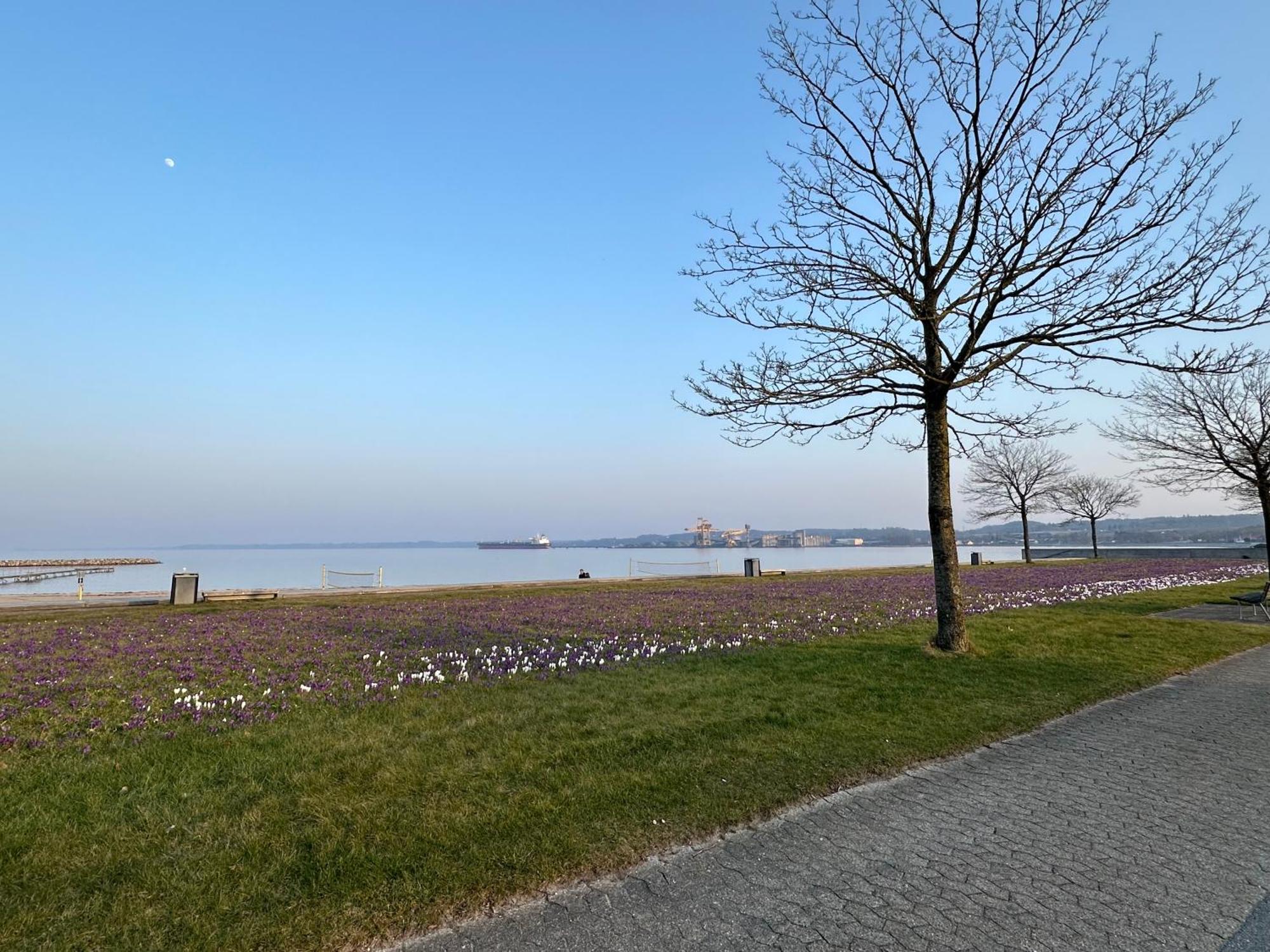 Seavibe Aabenraa